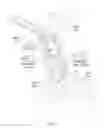 Fig. 02 - Methods of sorting activated T cells using three dimensional dielectrophoresis