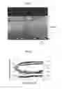 Fig. 03 - Coated metal mold and method for manufacturing same