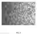 Fig. 04 - Method and apparatus for continuous semisolid die casting