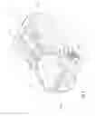 Fig. 09 - Adjustable holding device