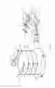 Fig. 06 - Workpiece support structures and apparatus for accessing same