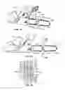 Fig. 14 - Post and beam cutting device