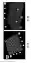 Fig. 15 - Methods and systems for fast imprinting of nanometer scale features in a workpiece