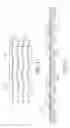 Fig. 05 - Molded fluid flow structure