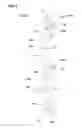 Fig. 05 - Tire