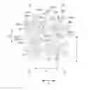 Fig. 01 - Tire