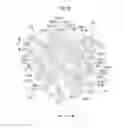 Fig. 23 - Tire