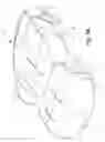 Fig. 04 - Quick-deploying car cover