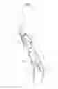 Fig. 12 - Conveyance seat