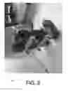 Fig. 07 - Hoverboard buddy system