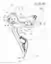 Fig. 01 - Bicycle operating device