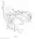 Fig. 02 - Bicycle hydraulic operating system