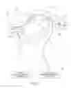 Fig. 10 - Bicycle hydraulic operating system