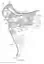 Fig. 12 - Bicycle hydraulic operating system