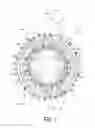 Fig. 02 - Bicycle sprocket