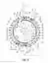 Fig. 06 - Bicycle sprocket