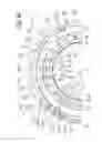 Fig. 45 - Bicycle sprocket