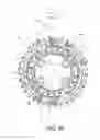 Fig. 49 - Bicycle sprocket