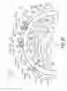 Fig. 68 - Bicycle sprocket