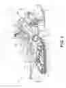 Fig. 02 - Toe hold for a snowmobile