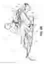 Fig. 11 - Toe hold for a snowmobile