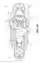 Fig. 13 - Toe hold for a snowmobile
