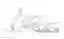 Fig. 01 - Snow vehicle