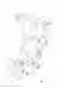 Fig. 06 - Snow vehicle