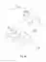 Fig. 09 - Snow vehicle