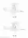 Fig. 10 - Snow vehicle