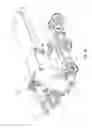 Fig. 23 - Snow vehicle