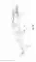 Fig. 37 - Snow vehicle