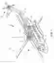 Fig. 02 - Position hold override control