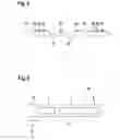 Fig. 04 - Lighting system of an aircraft cabin and aircraft comprising the same