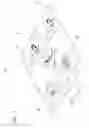 Fig. 02 - PET FOOD PACKAGING BODY AND METHOD OF PRODUCING SAME