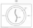 Fig. 01 - Micro-electro-mechanical system sensor devices