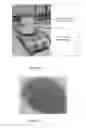 Fig. 09 - DISPERSING ADDITIVE
