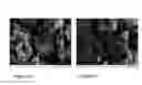 Fig. 37 - DISPERSING ADDITIVE