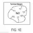 Fig. 04 - Recyclable porous desalination material
