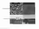 Fig. 01 - Method for manufacturing membrane using selective layer prepared through support-free interfacial polymerization