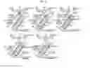 Fig. 03 - ELECTROLYZED WATER GENERATOR