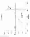 Fig. 09 - Automotive and architectural glass articles and laminates