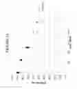 Fig. 11 - Automotive and architectural glass articles and laminates