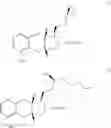 Fig. 158 - Methods of synthesizing a prostacyclin analog