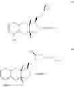Fig. 201 - Methods of synthesizing a prostacyclin analog