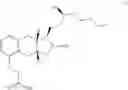 Fig. 229 - Methods of synthesizing a prostacyclin analog