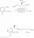 Fig. 254 - Methods of synthesizing a prostacyclin analog