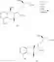 Fig. 286 - Methods of synthesizing a prostacyclin analog