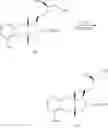 Fig. 294 - Methods of synthesizing a prostacyclin analog