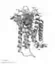 Fig. 02 - Cannabinoid receptor CB2 ligand 4-(aminomethyl)-N,N-dialkylanilines